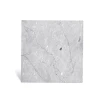 bardiglio-imperiale-poler-45x45x1cm