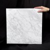 carrara-c-extra-poler-457x457x1cm